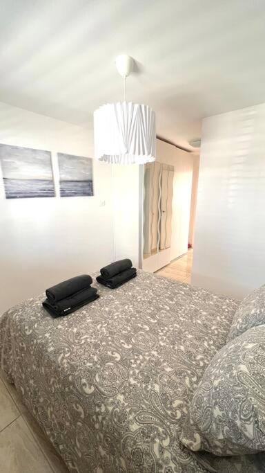 Casa Teddy - Central And Modern One Bedroom Apartment Tias Ngoại thất bức ảnh